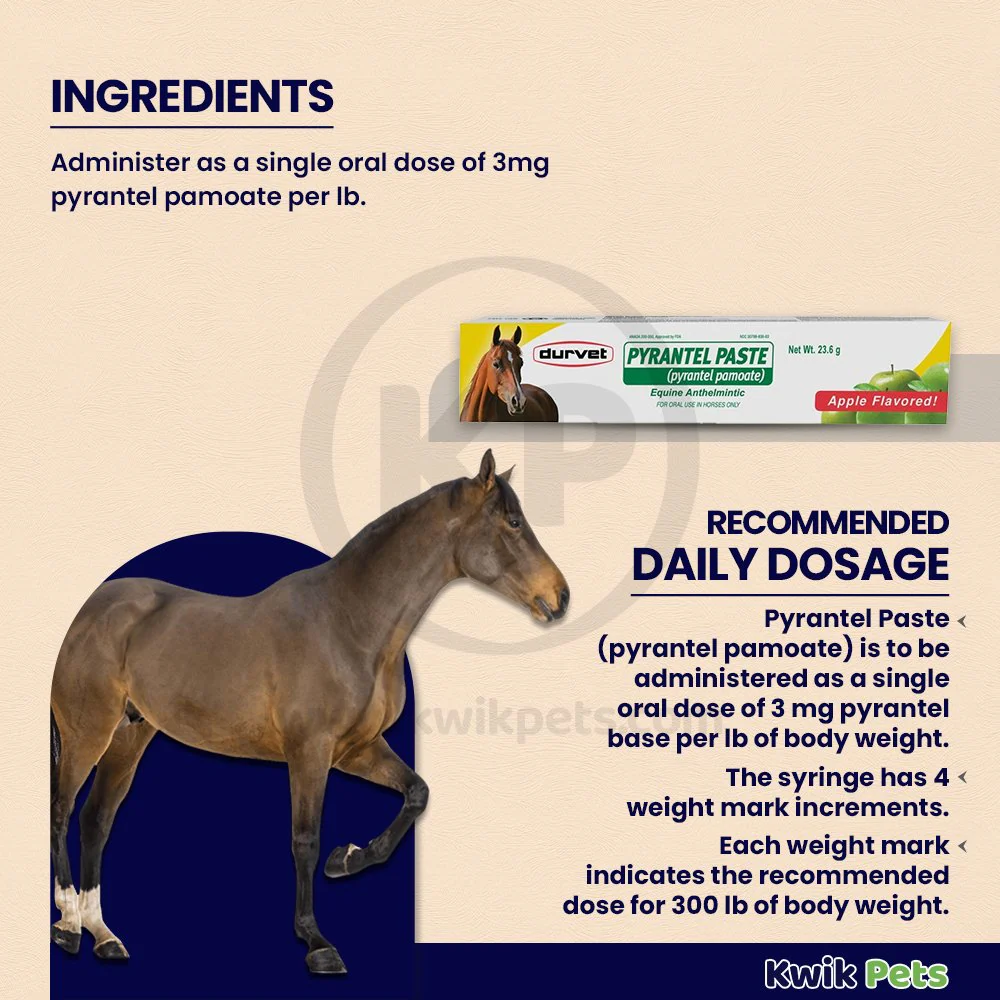 Durvet Pyrantel Horse Dewormer Paste 23.6 Gram - Image 4
