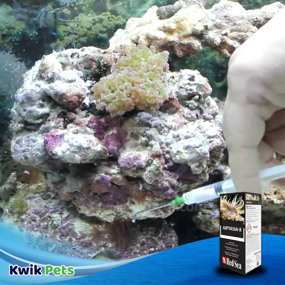 Red Sea Aiptasia-X Treatment for Aquarium 2-oz - Image 5