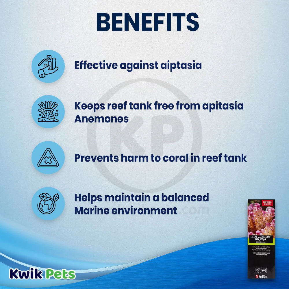 Red Sea NO3:PO4-X Biological Nitrate & Phosphate Reducer 33.8-oz - Image 3
