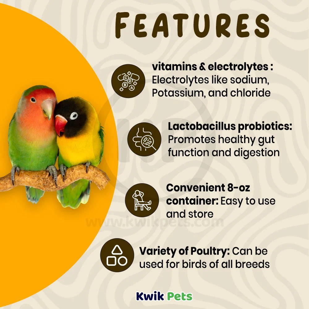 Rooster Booster Vitamins & Electrolytes LactoBacillus Poultry Supplement 8-oz - Image 3