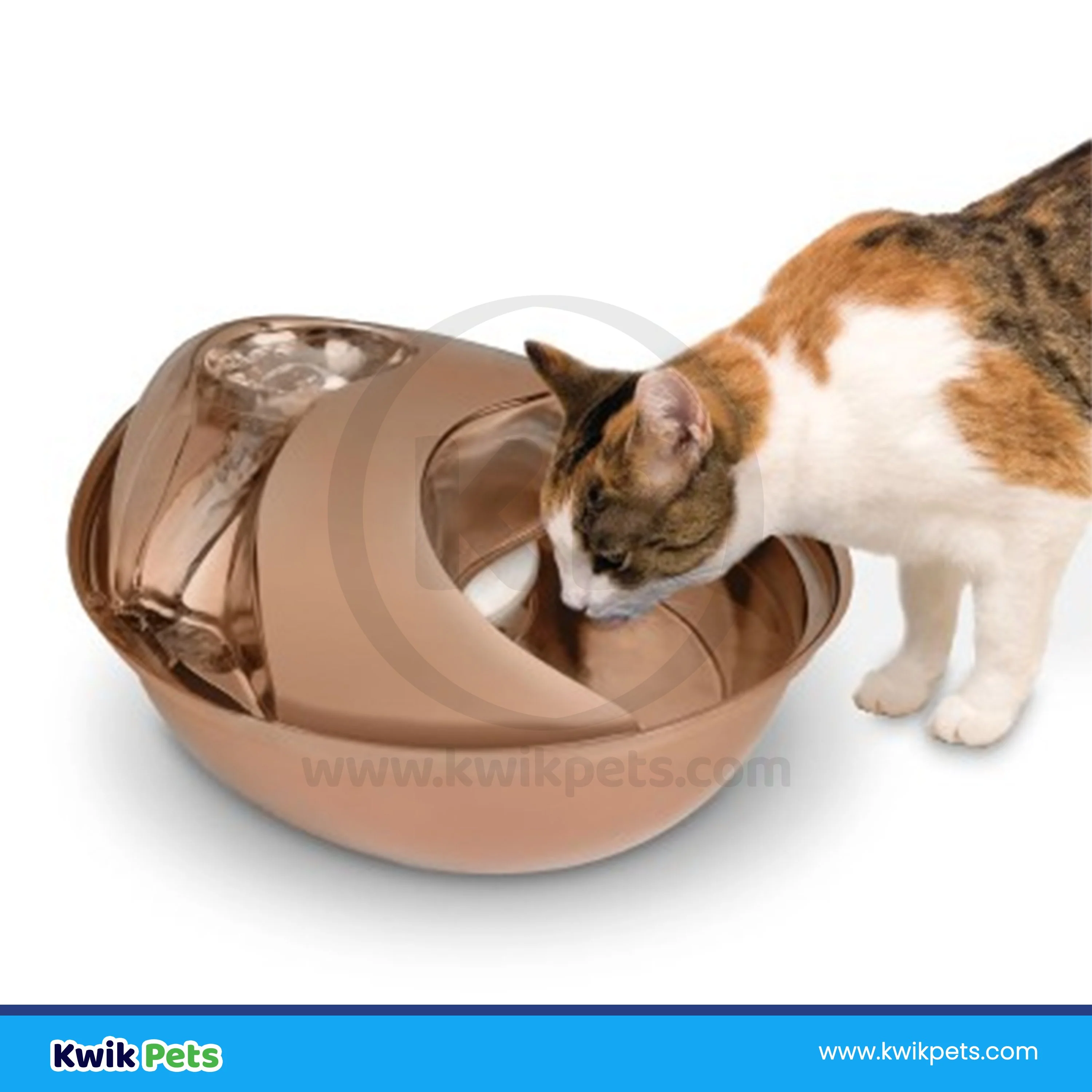 Pioneer Pet Raindrop Rose Gold Stainless Steel Dog & Cat Drinking Fountain 60-oz - Image 4