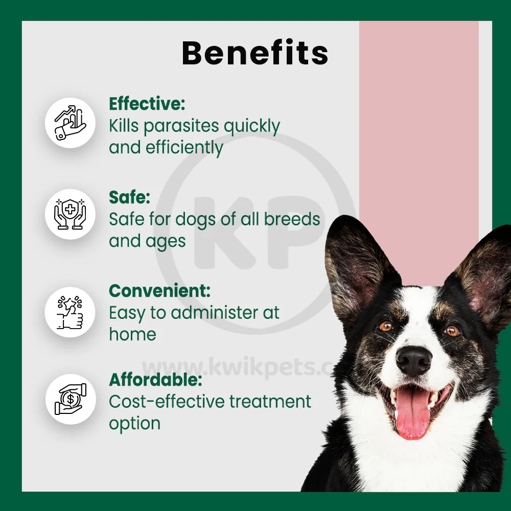 Safe-Guard Canine Dog Dewormer 4 Gram Pouches 3 Count - Image 4