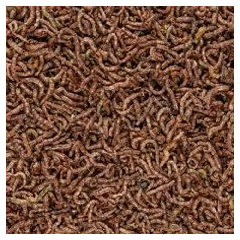San Francisco Bay Brand Freeze-Dried Bloodworms Betta Fish Food 0.035-oz - Image 4