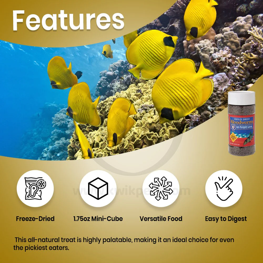 San Francisco Bay Brand Bloodworms Freeze-Dried Fish Food 0.25-oz - Image 2
