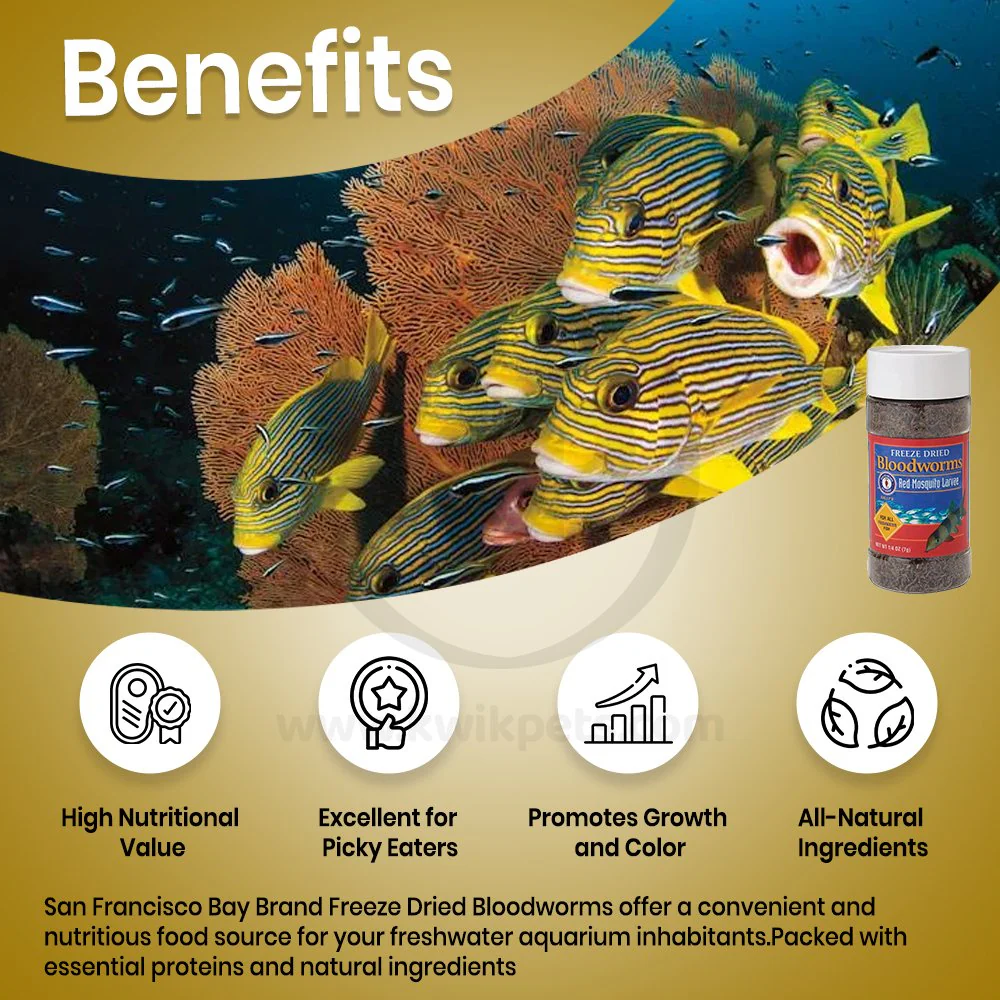 San Francisco Bay Brand Bloodworms Freeze-Dried Fish Food 0.25-oz - Image 3
