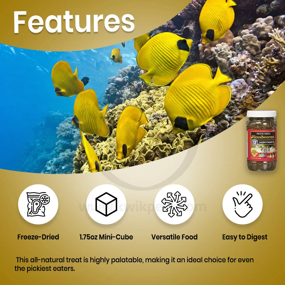 San Francisco Bay Brand Bloodworms Freeze-Dried Fish Food 0.5-oz - Image 2