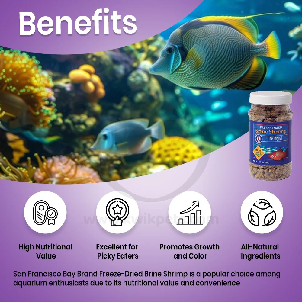 San Francisco Bay Brand Brine Shrimp Freeze-Dried Fish Food 0.7-oz - Image 3