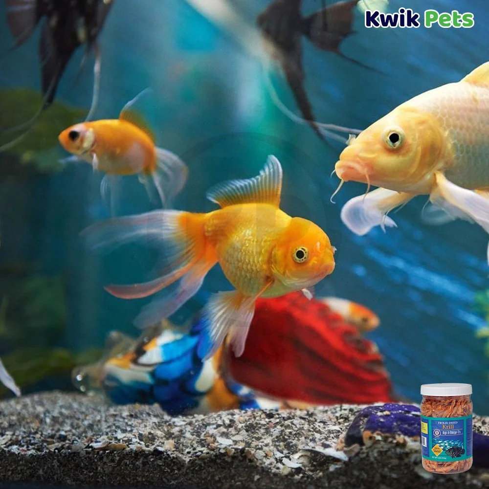 San Francisco Bay Brand Krill Freeze-Dried Fish Food 4-oz - Image 5