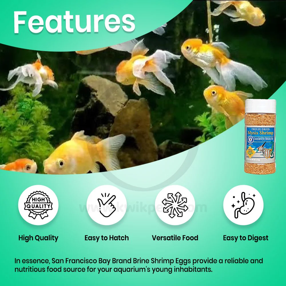 San Francisco Bay Brand Mysis Shrimp Freeze-Dried Fish Food 0.46-oz - Image 2