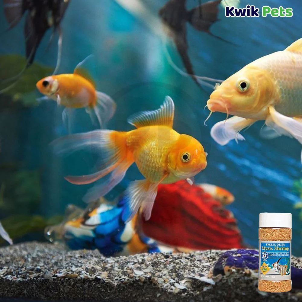 San Francisco Bay Brand Mysis Shrimp Freeze-Dried Fish Food 0.46-oz - Image 5