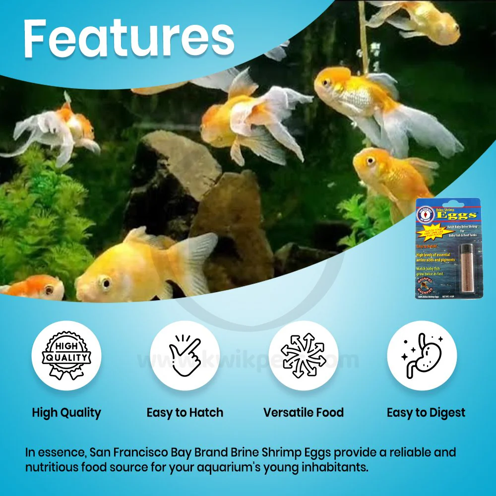 San Fransisco Bay Brand Brine Shrimp Eggs 6 gms - Image 3