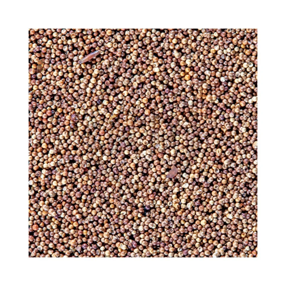 San Fransisco Bay Brand Brine Shrimp Eggs 6 gms - Image 6