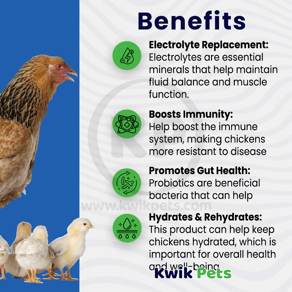 Sav-A-Chick Electrolyte & Probiotic Poultry Supplements Combo Pack 1.26-oz - Image 3