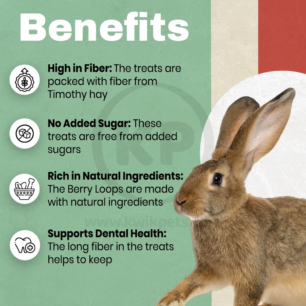 Science Selective Meadow Loops with Timothy Hay & Thyme Rabbit Treats 2.8-oz - Image 4