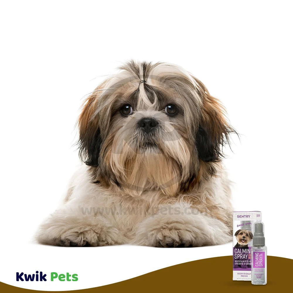 Sentry Behavior Calming Spray for Dogs 1.62-oz - Image 7