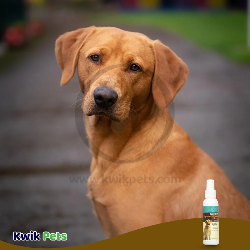 Sentry Hydrocortisone Spray for Dogs 4-oz - Image 5