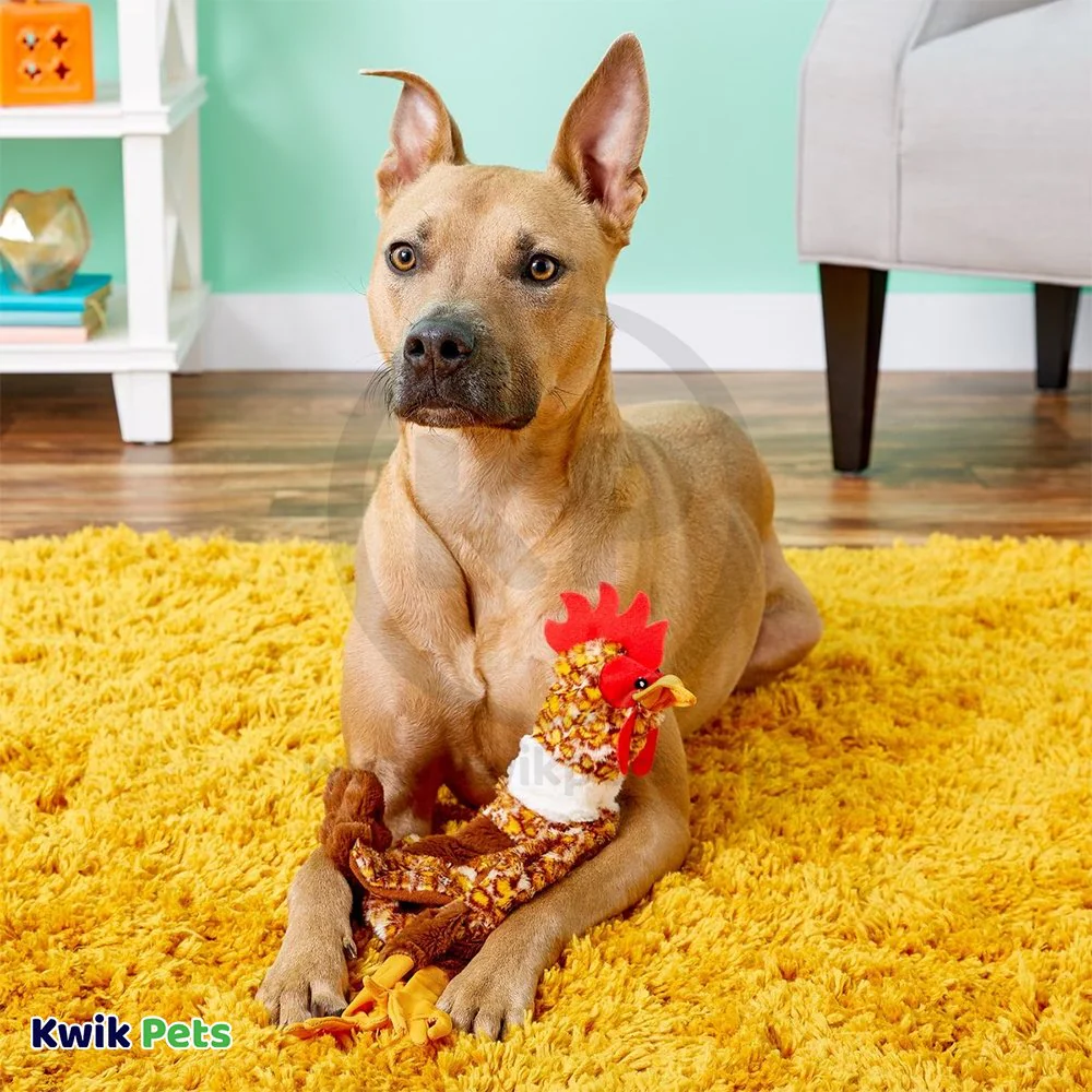 Skinneeez Barnyard Series Dog Toy Chicken Multicolor Mini - Image 6