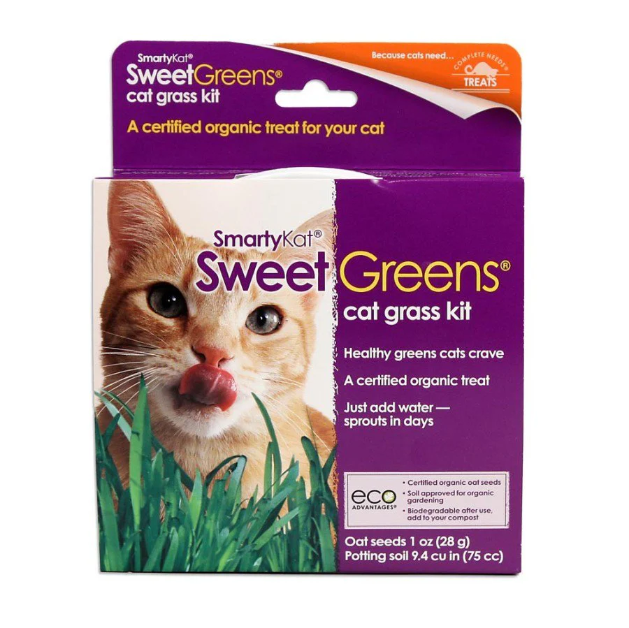 SmartyKat Sweet Greens Cat Grass Seed Kit 1-oz