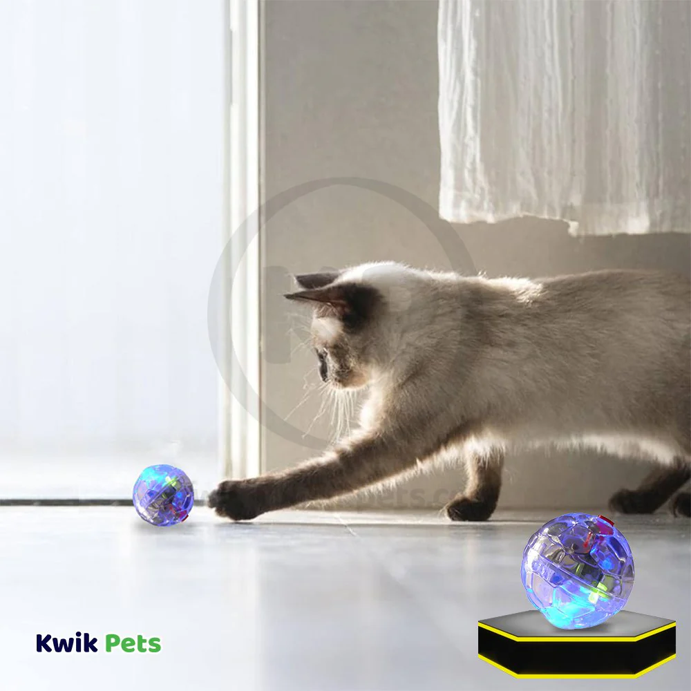 Spot LED Motion Activated Ball Cat Toy Multicolor - Image 5