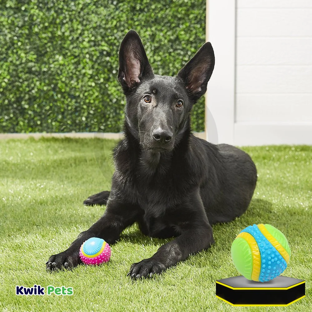 Spot Sensory Ball Dog Toy Assorted Small 2.5-in - Image 5