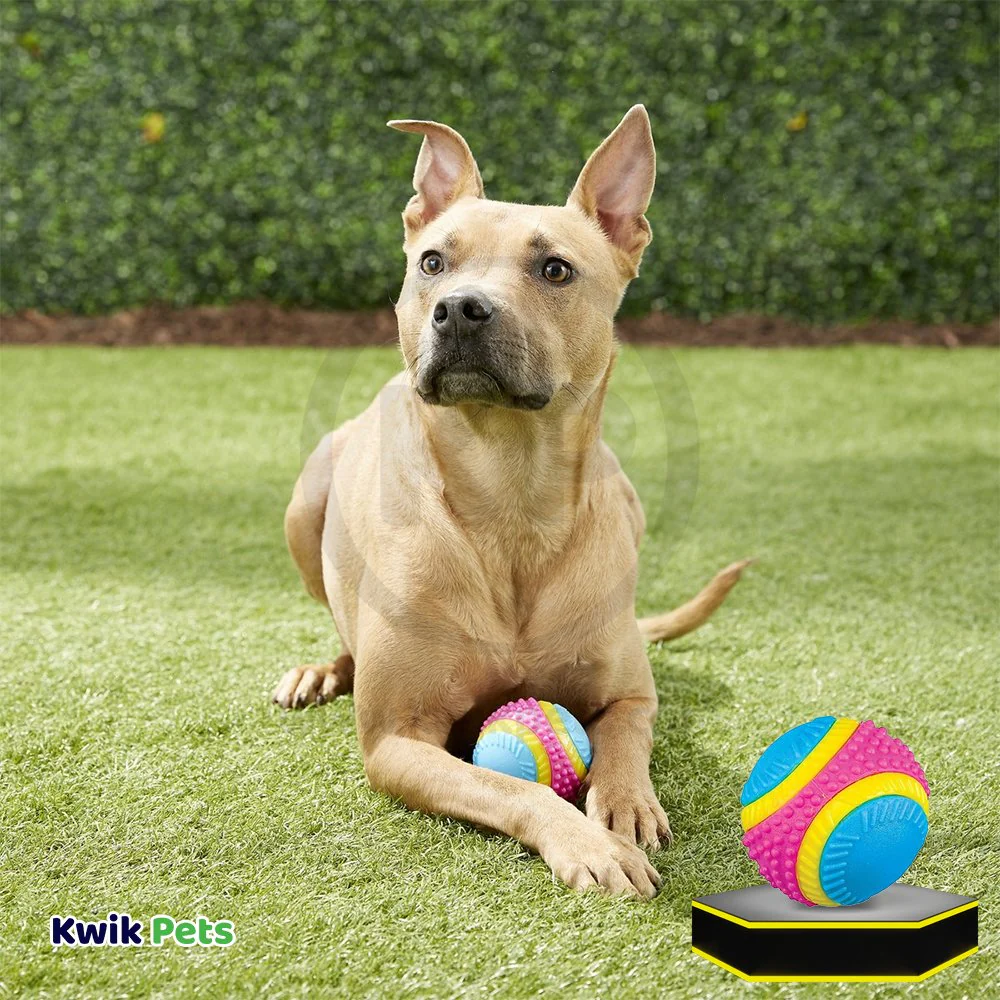 Spot Sensory Ball Dog Toy Assorted Medium 3.25-in - Image 5