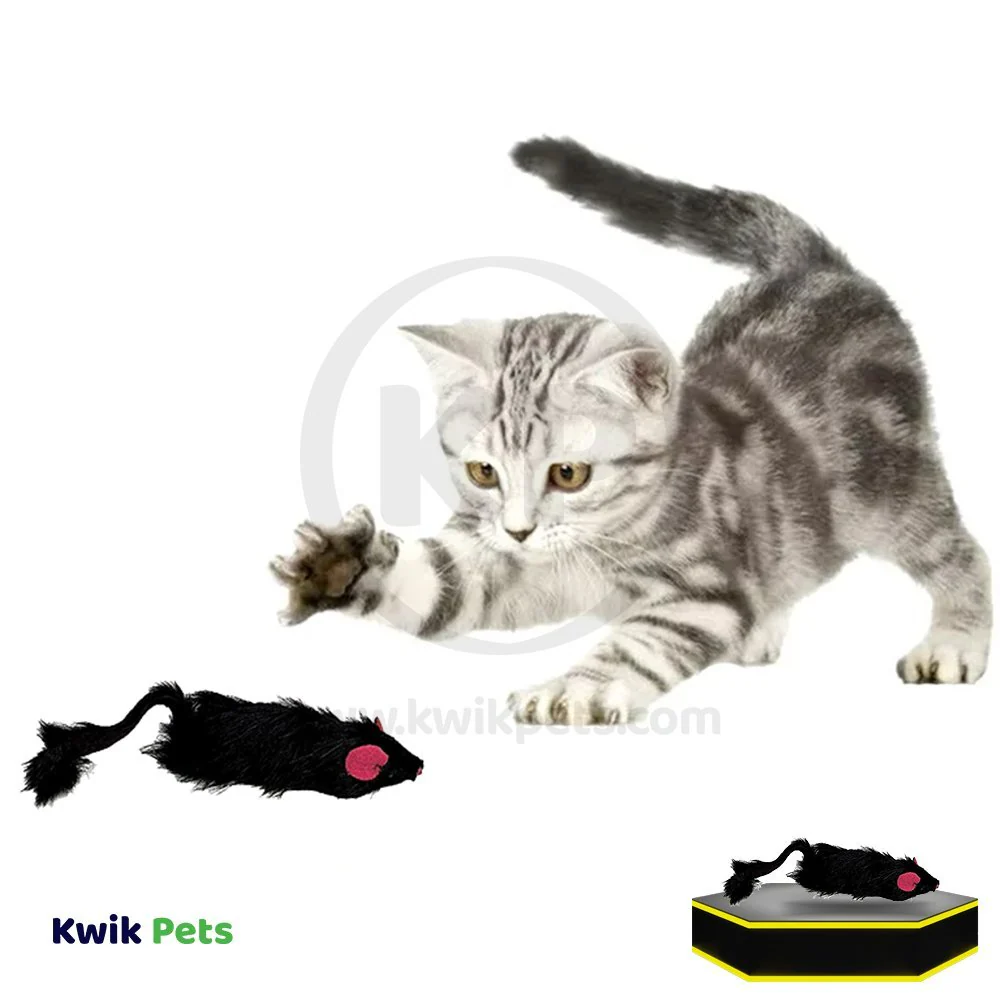 Spot Shaggy Plush Ferret Rattle & Catnip Cat Toy Black Large 11-in - Image 5