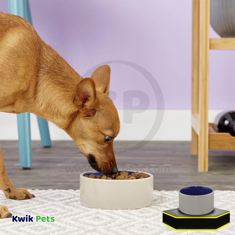 Ethical Pet Standard Crock Dog Bowl Blue 3.75-in - Image 4