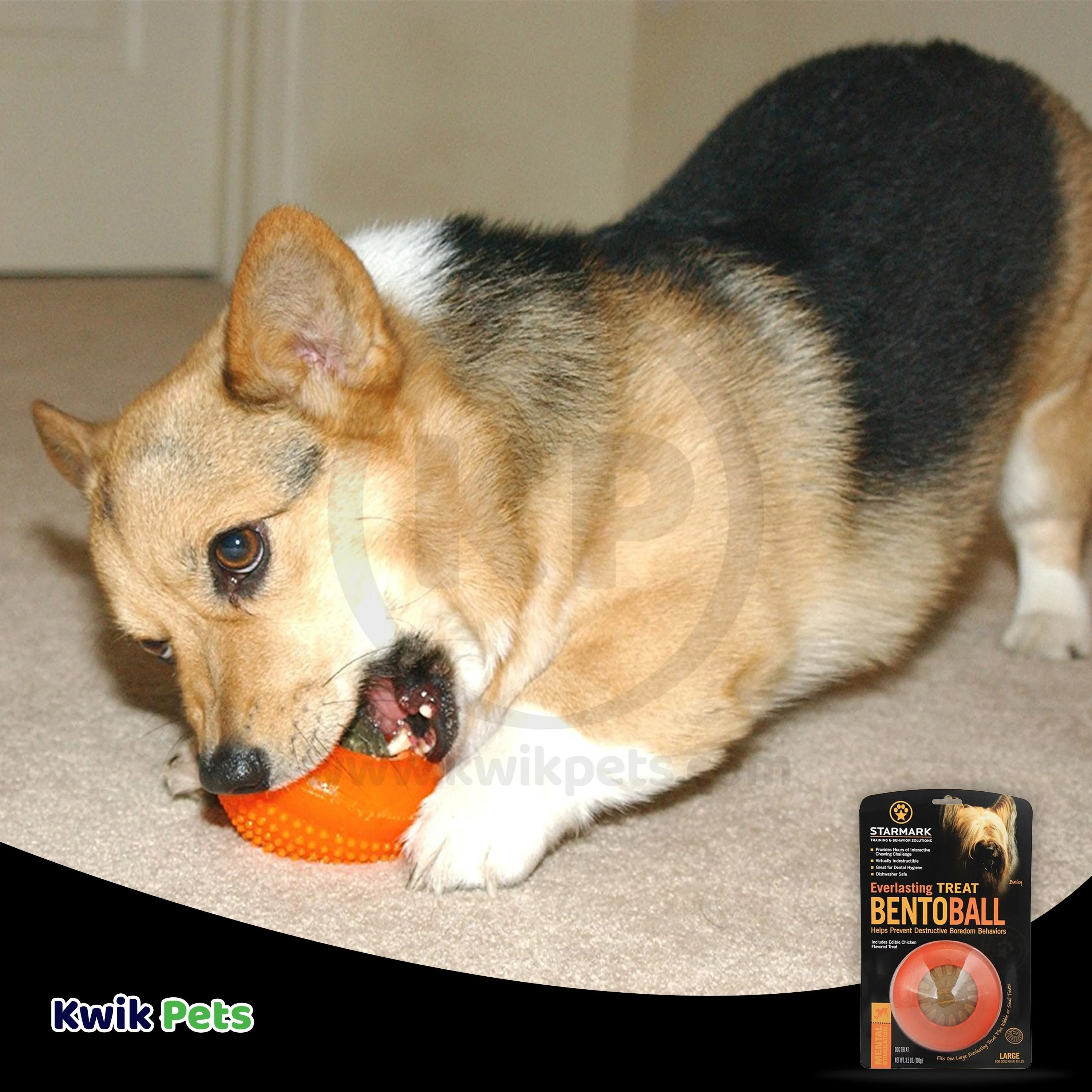 Starmark Bento Ball Dog Toy Orange Large - Image 8