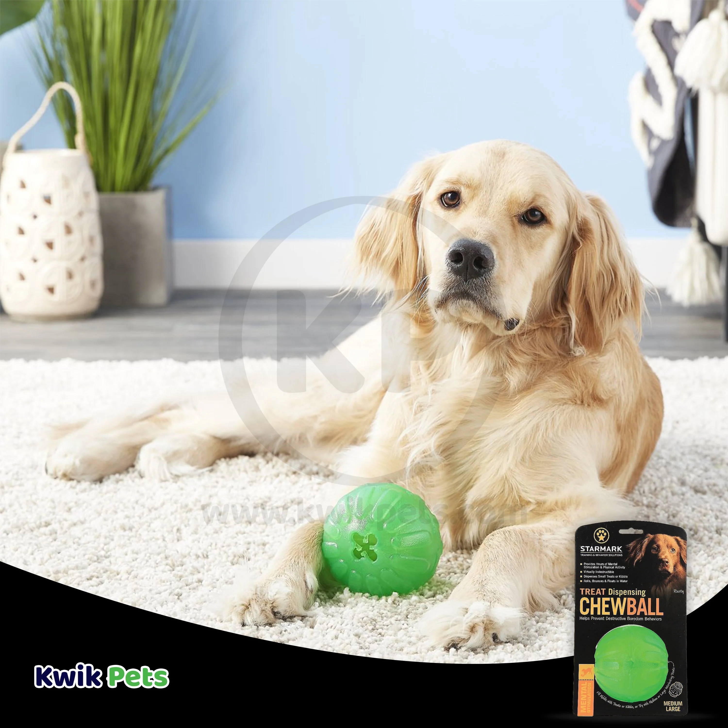 Starmark Fun Ball Dog Toy Green Large 4-in - Image 7