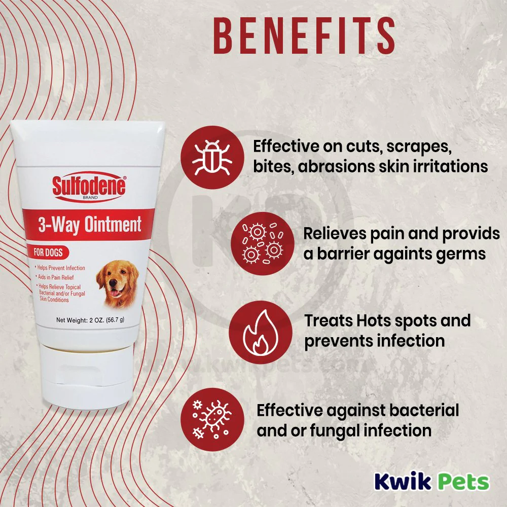 Sulfodene Wound Care 3-Way Ointment for Dogs 2-oz - Image 4