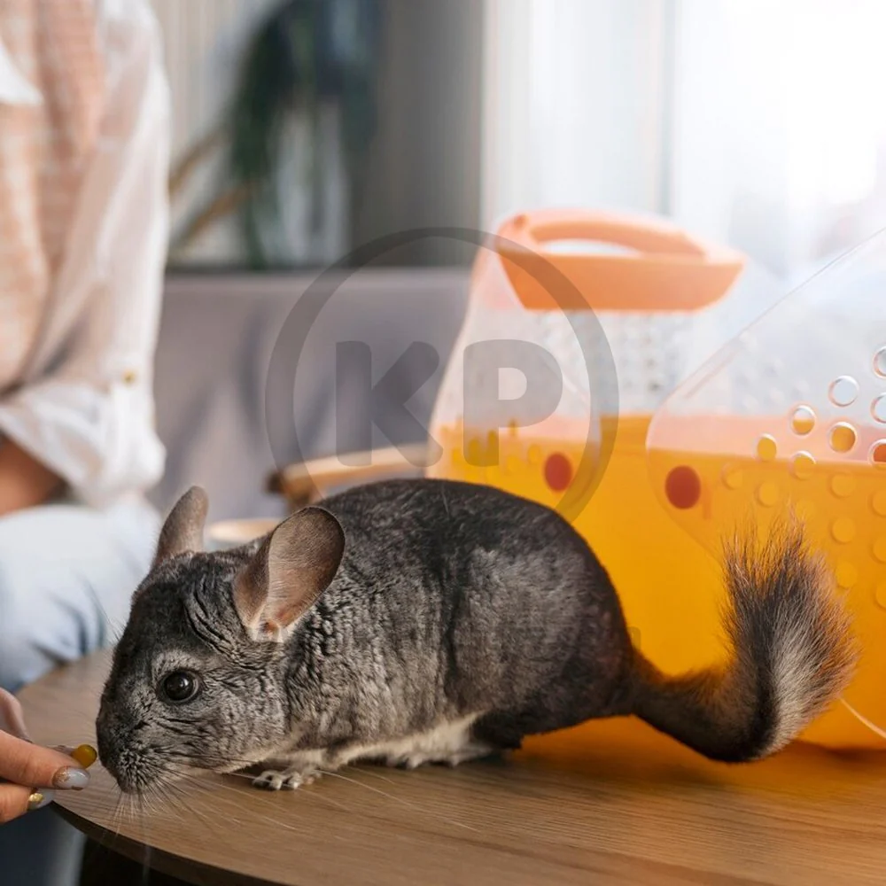 Kaytee Perfect Chews Chinchillas Toy - Image 4