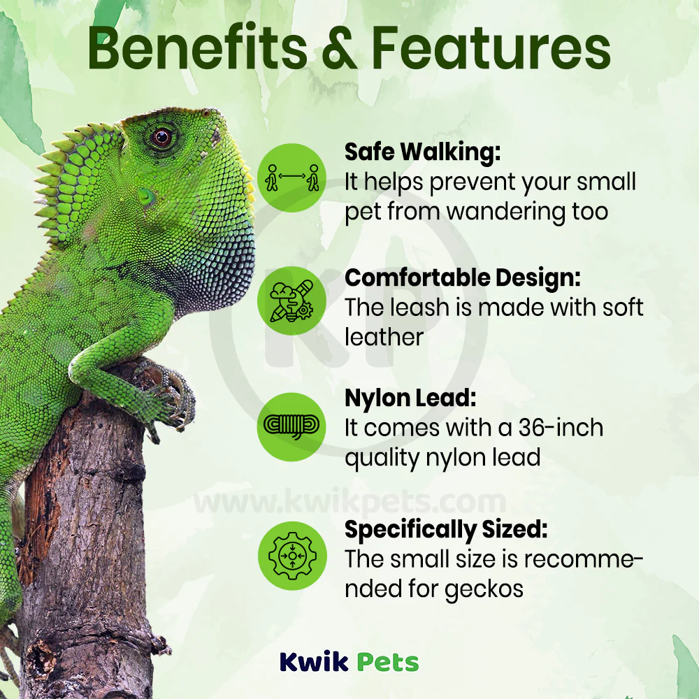 T-Rex Reptile Comfort Leash Small - Image 2