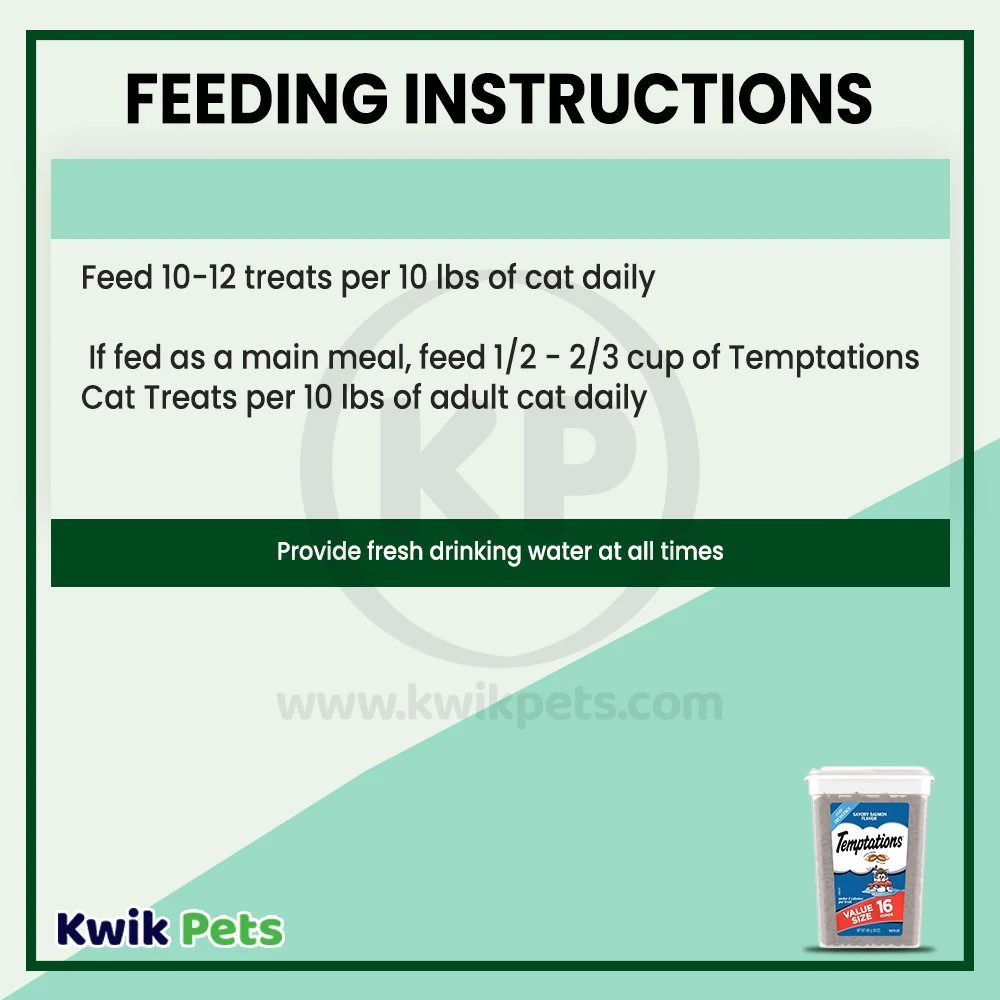 Temptations Classics Crunchy & Soft Adult Cat Treats Savory Salmon 16-oz - Image 6