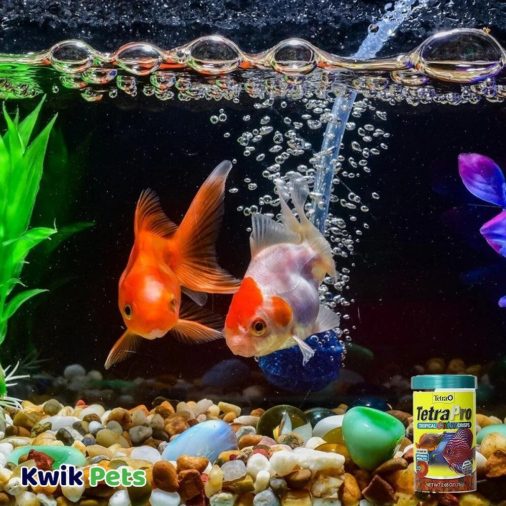 Tetra Pro Tropical Color Crisps Fish Food 2.65-oz - Image 5