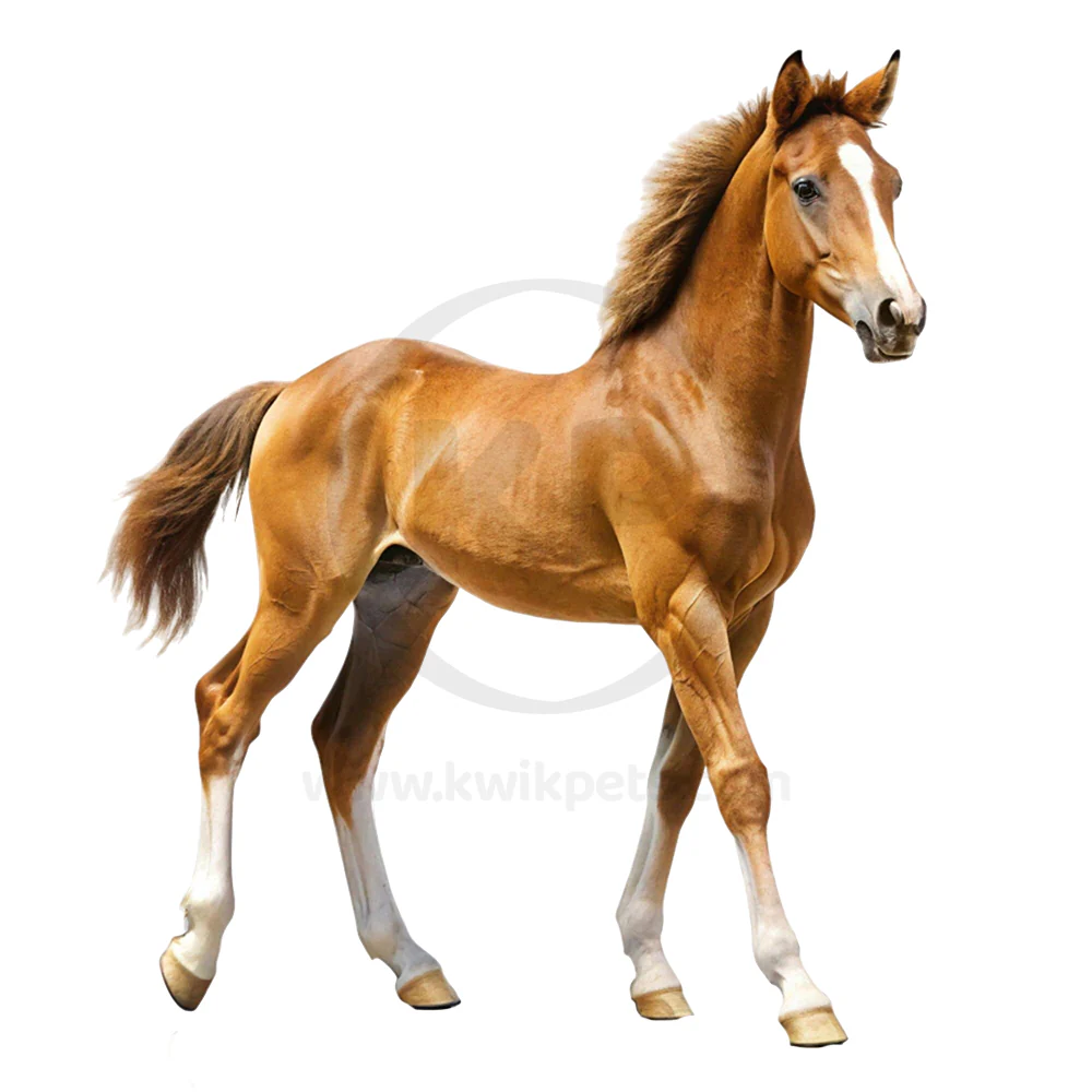 Equine Healthcare International The Original Bit Butter Travel Size Mouth Softening Complex - Image 4