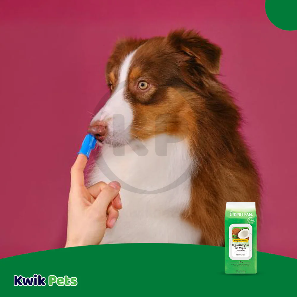 TropiClean Fresh Breath Finger Brushes for Dogs 2 Count - Image 4