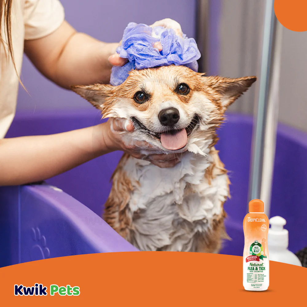TropiClean Natural Flea & Tick Maximum Strength Shampoo for Dogs 20-oz - Image 6