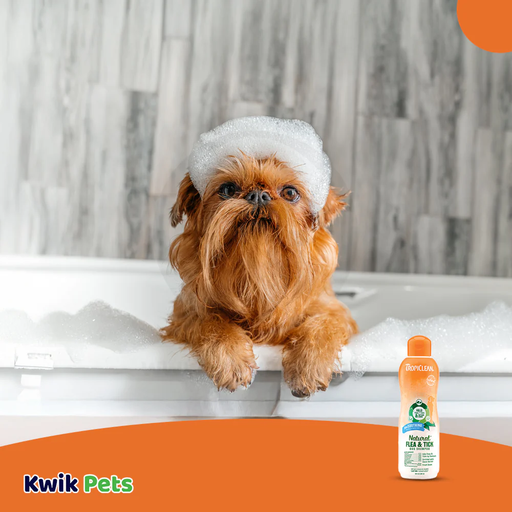 TropiClean Natural Flea & Tick Soothing Shampoo for Dogs 20-oz - Image 6