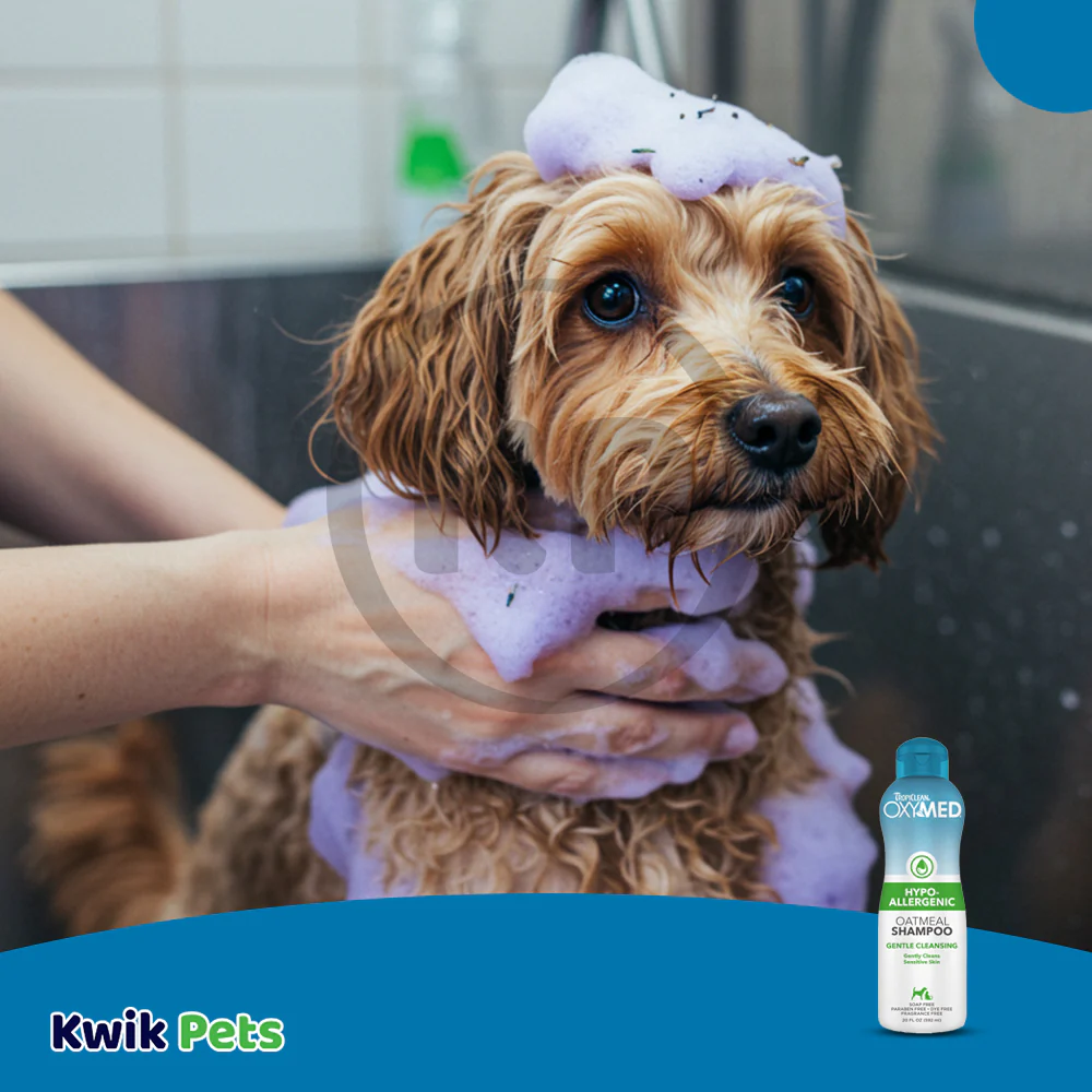 TropiClean OxyMed Hypoallergenic Oatmeal Shampoo for Dogs & Cats 20-oz - Image 6