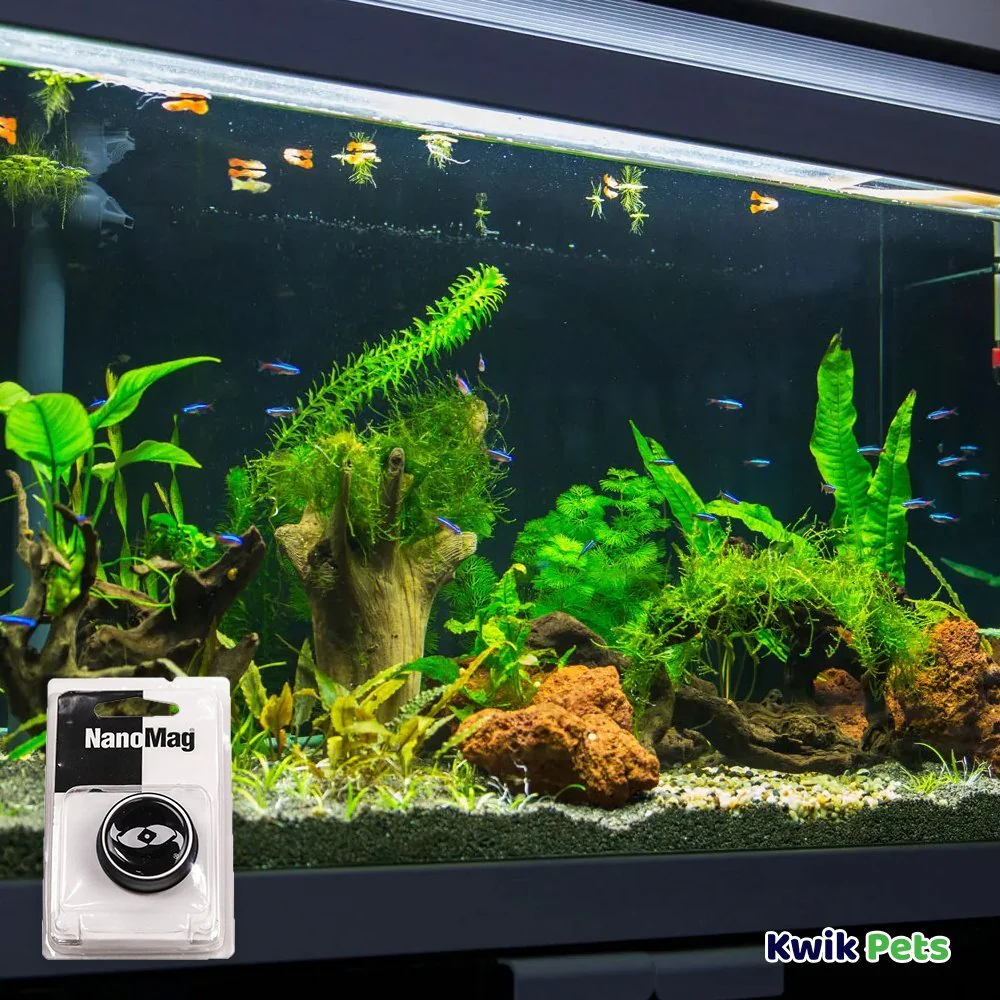 Two Little Fishies NanoMag Window Cleaning Magnet for Aquariums - Image 5