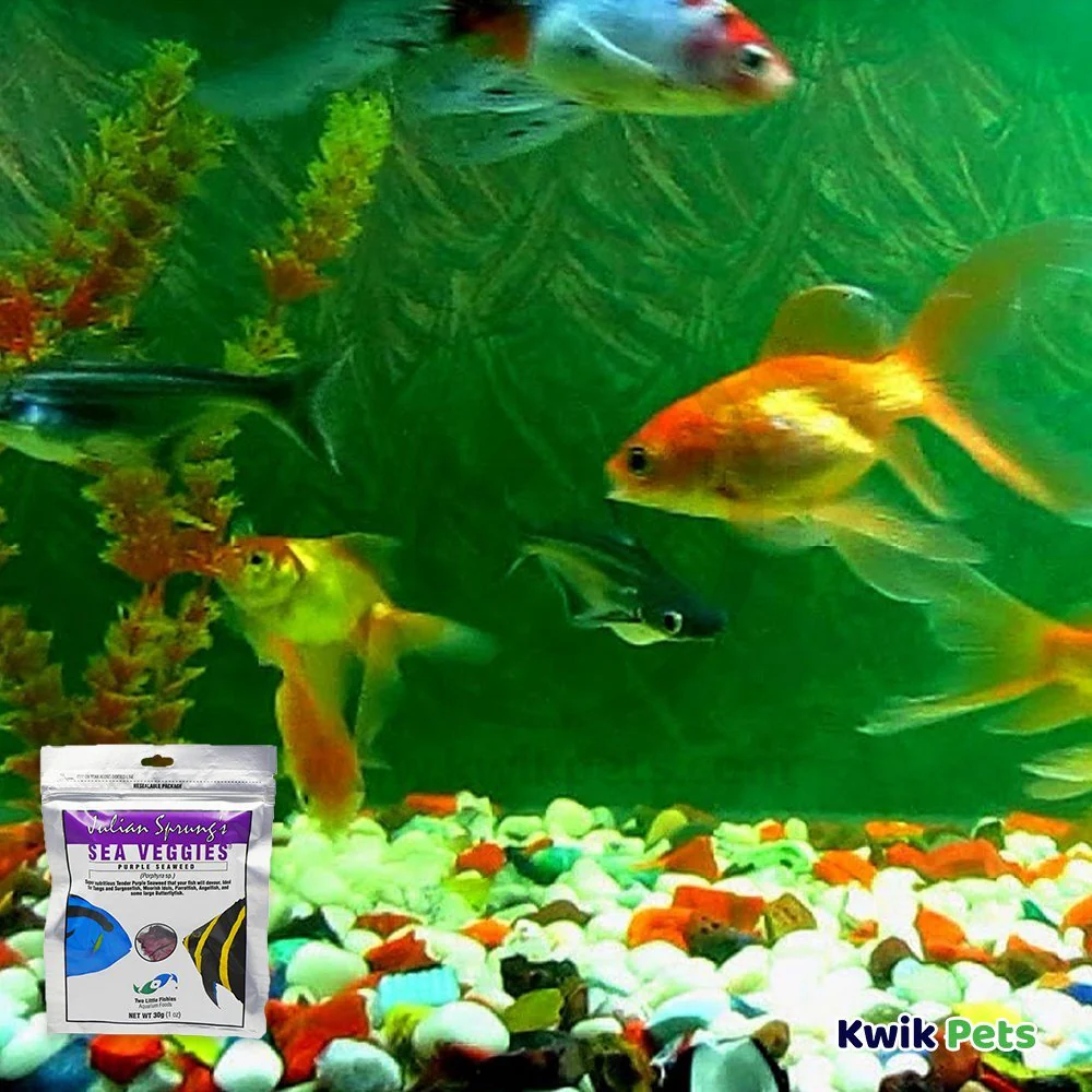 Two Little Fishies Julian Sprung's Seaveggies Purple Seaweed Fish Food 1-oz - Image 5
