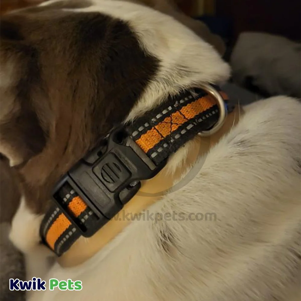 Vetality Avantect II Flea & Tick Collar for Dogs 2 Count 26-in - Image 5