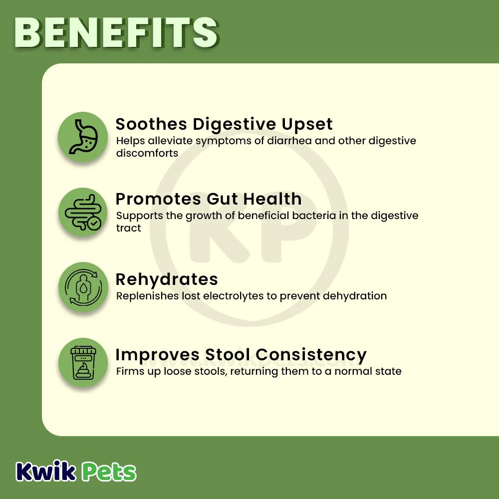 Vetality Stop the Runs Chewables for Dogs 6 Count - Image 4