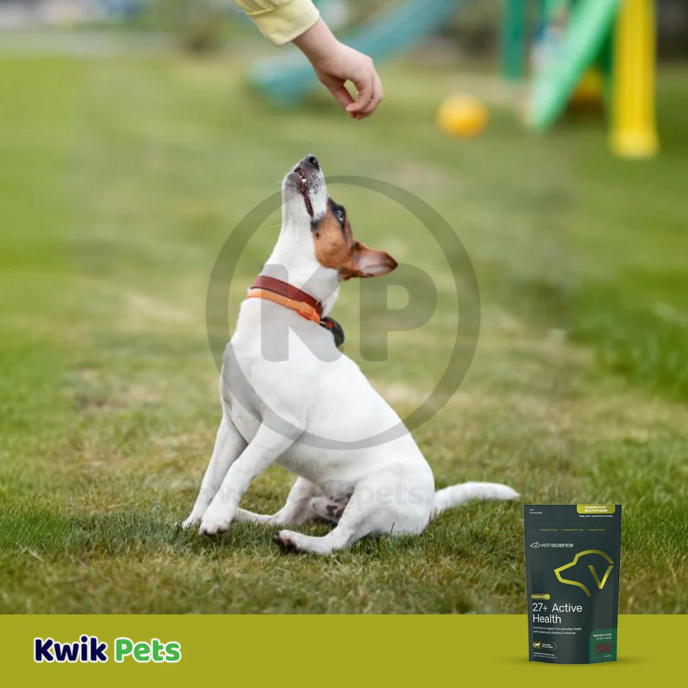 VetriScience Canine Plus Multivitamin Dog Chews 30 Count - Image 6