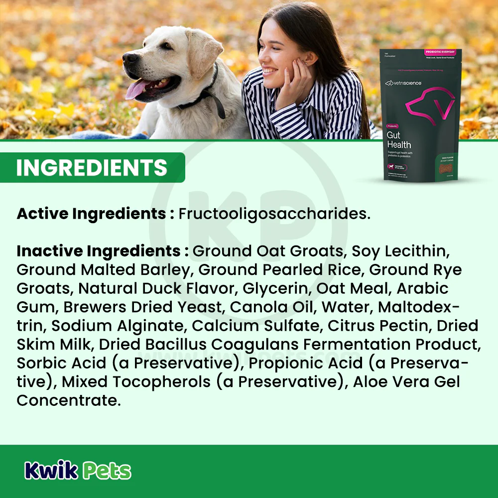 VetriScience Probiotic Everyday Dog Chews Duck Flavor 45 Count - Image 5