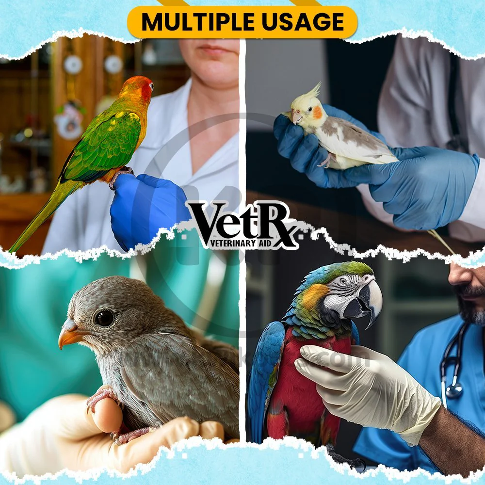 VetRx Caged Bird Remedy Respiratory Support Solution 2-oz - Image 4