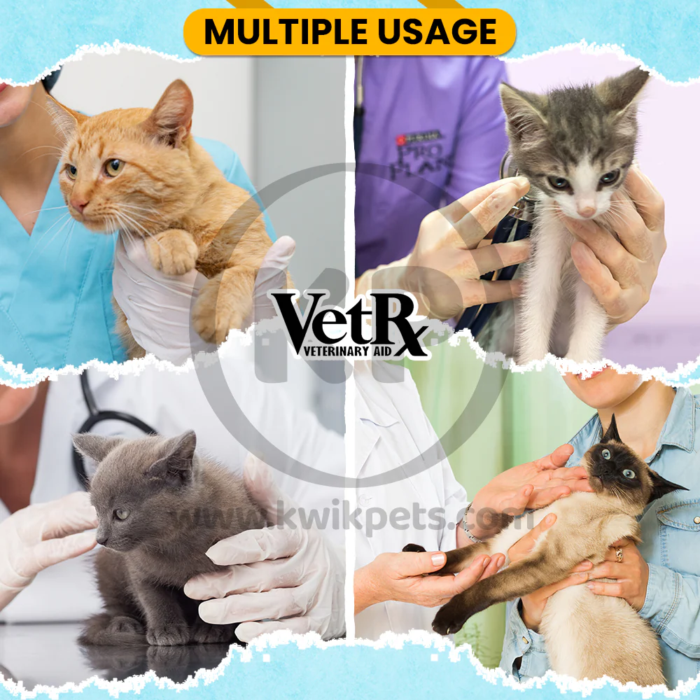 VetRx Cat & Kitten Remedy Respiratory Support Solution 2-oz - Image 4
