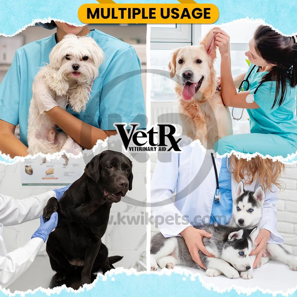 VetRx Dog & Puppy Aid Respiratory Support Solution 2-oz - Image 4