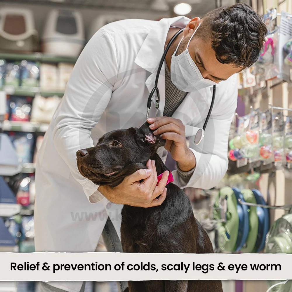 VetRx Dog & Puppy Aid Respiratory Support Solution 2-oz - Image 5