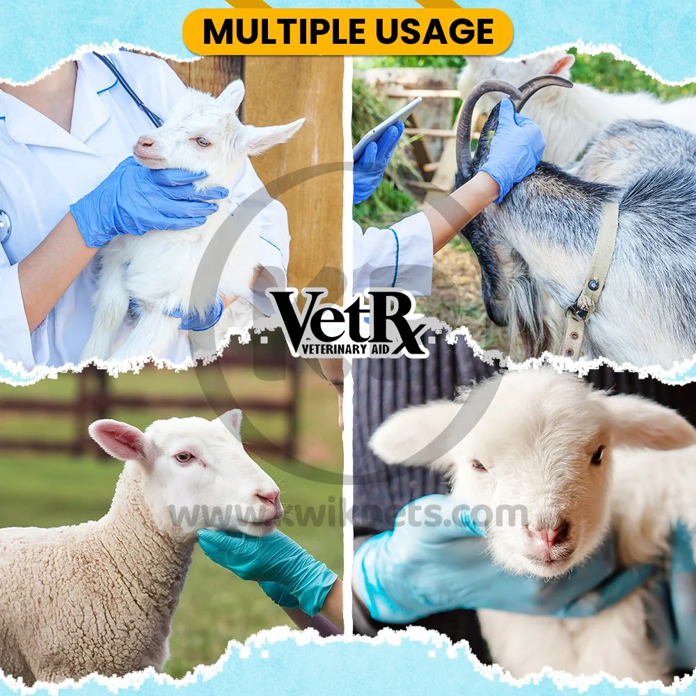 VetRx Goat & Sheep Aid Respiratory Support Solution 2-oz - Image 4